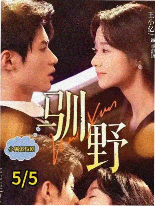 回声档案电视剧